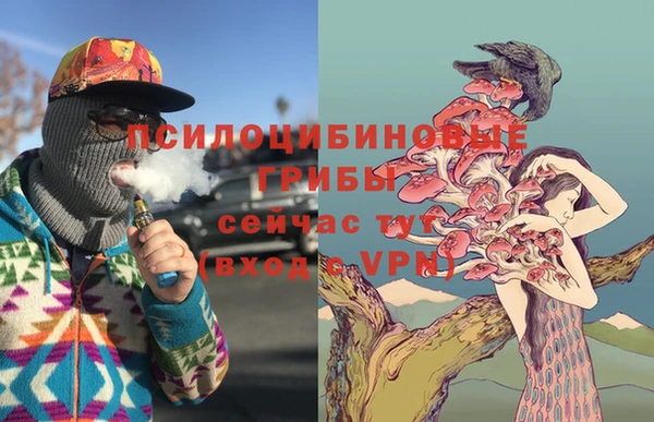 mix Козельск