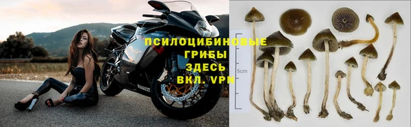 mdma Козловка
