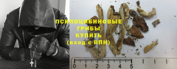 mix Козельск