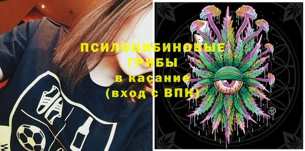 mix Козельск