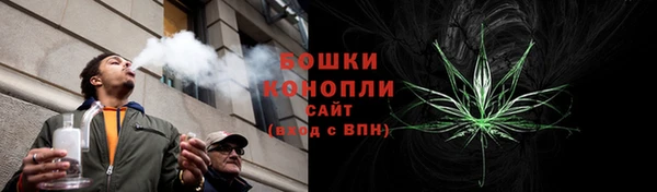 mix Козельск