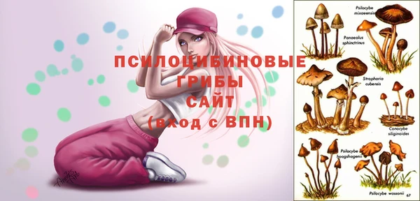 mdma Козловка