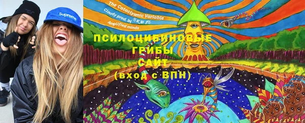 mix Козельск