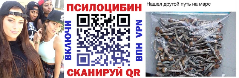 Купить  Аткарск  Галлюциногенные грибы мухоморы 